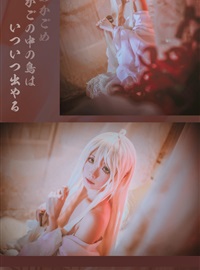 Star's Delay to December 22, Coser Hoshilly BCY Collection 8(42)